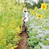 naturkosmetikerin Ingrid Püschel